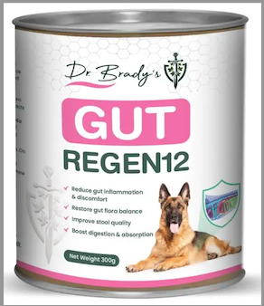 Dr Brady’s Gut Regen12 – For chronic gut issues in dogs